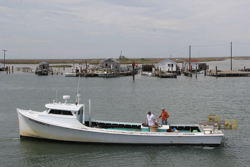 ‘Right to Fish’ law makes it a crime to interfere with work of watermen in VA