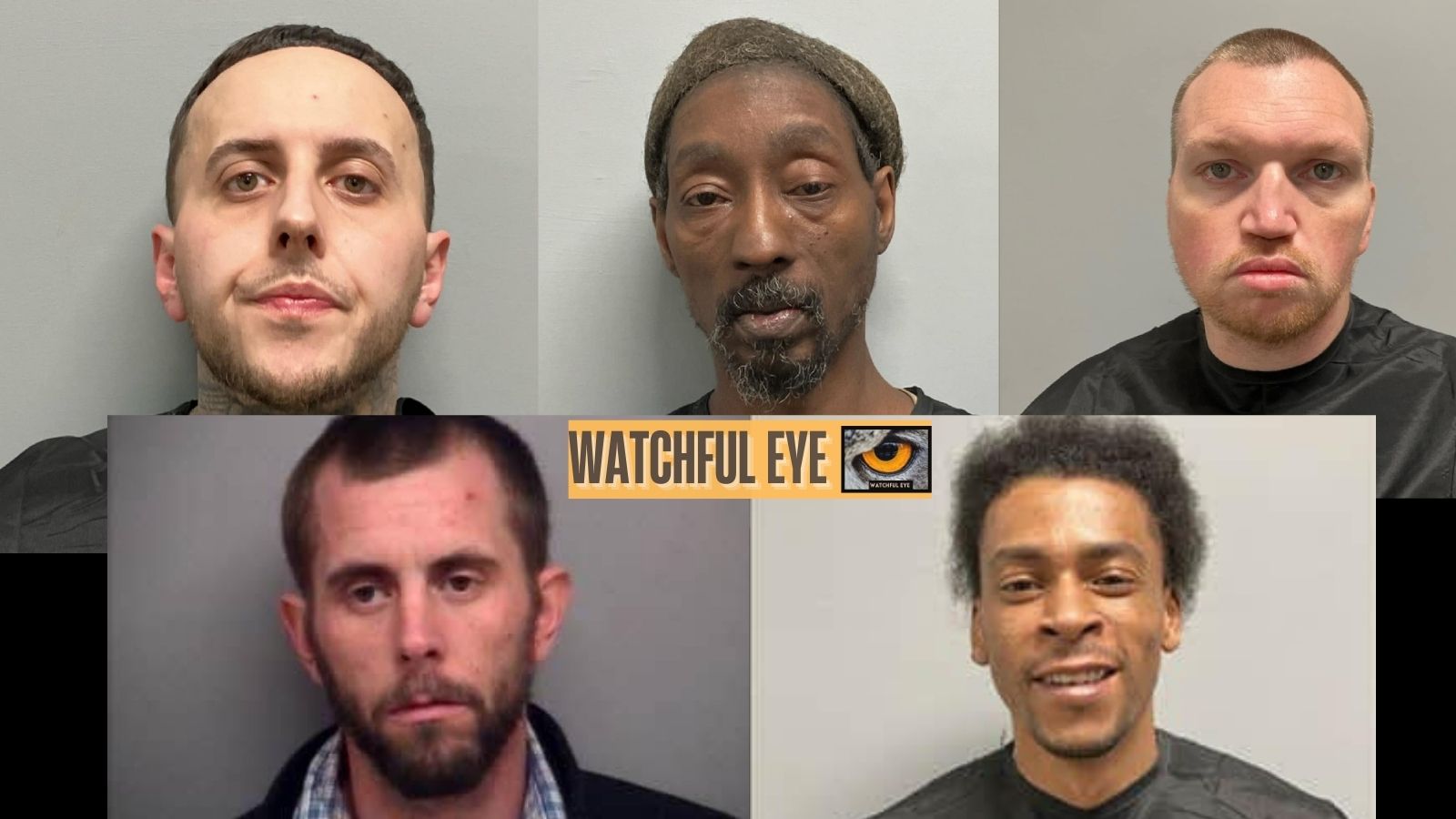 DWR K-9 tracks suspect, drugs found, 5 Martinsville men arrested